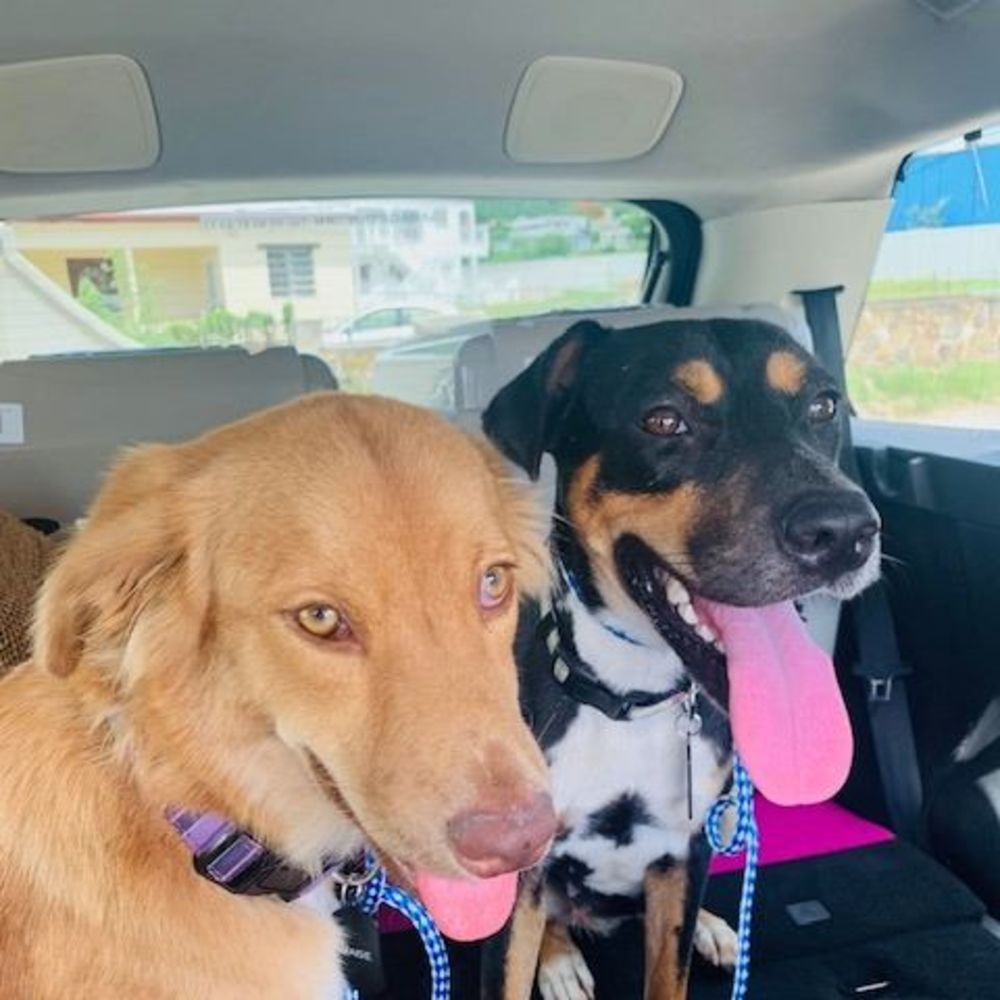 Meet your Posher, Nuts-n